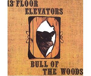 Thirteenth Floor Elevators - Bull of Use Cdgr113 [Import]