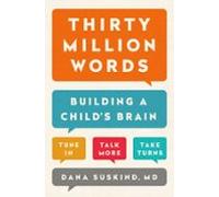 Thirty Million Words (ebook)