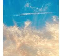 Thirty Seconds It¿s The End Of The World But It¿s A B (Vinyl) (Importación USA)