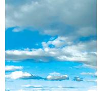 Thirty Seconds to Mars - It'S the End of the World (Ltd. Edition) [Vinilo]