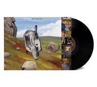 This Could Be Texas [Vinilo]