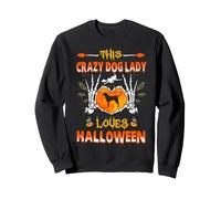 This Crazy Dog Lady Labrador Loves Halloween Costume Sudadera
