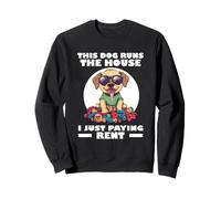 THIS DOG RUNS THE HOUSE I JUST PAYING RENT Sudadera