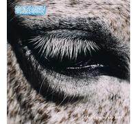 This Is Why We Lost (180g LP) [Vinilo]