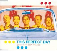 This Perfect Day - Could have been friends