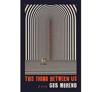 This Thing Between Us: A Novel