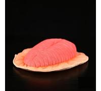 ThisToffGuys Simulación de 11,8 Pulgadas la Antigua Medusa Dickinsonia, Juguete Peluche, muñeca Criatura Ediacara for y Adultos Curiosos