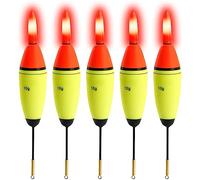 THKFISH 5 Piezas Eva Poses de Pesca Kit Flotador + 10 Piezas Poses de Pesca Luz Poses de Pesca Luz 30G 5PCS