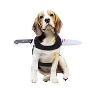 THOANBY Disfraz divertido de Halloween para mascotas, disfraz de gatito, cosplay, ropa de asesinos para cachorros, gatitos, accesorios de fiesta, disfraz de perro