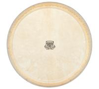 "Thomann 11"" Conga kangaroo head"