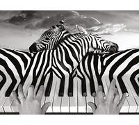 Thomas Barbey impresión sobre Lienzo de Piano Peace (60 x 80 cm), Multicolor, 24 x 32 Inches