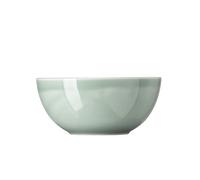 Thomas Daily Moss Green Cuenco 24CM