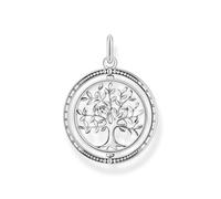 Thomas Sabo PE934-637-21 Colgante