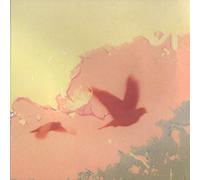 Thomas & Sampson - When the lower resembles the higher