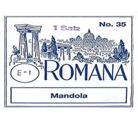 Thomastik Cuerda Sol 173 ligero (1 par) acero pulido con entorchado plano para Mandola Präzision/Precisión juego 174 ligero