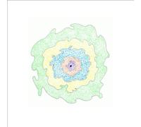 Thorir Georg - I Will Die & You Will & It Will Be Alright [VINYL] [Vinilo]