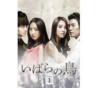 Thorn Birds Dvd-Set 1 [DVD de Audio]