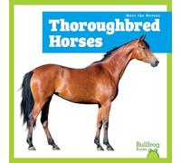 Thoroughbred Horses (Meet the Horses)