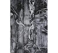 Thou Shell of Death - Witchery