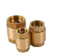 Thread In-Line Spring for Water Control 1/2" 3/4" 1" 2" DN15 DN20 DN25 Anti Backflow One-Way Valve Irrigation Aquarium System(DN20 G3-4)
