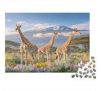 Three Giraffes on The Grassland, Snow-Capped Mountains 52x38cm/1000pcs Puzzle Adecuado para Adultos Y Multitud Mayores De 14 Años
