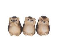 Three Wise Hedgehogs