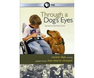 Through a Dog's Eyes [USA] [DVD]