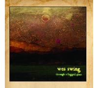 Through a Fogged Glass