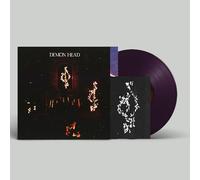 Through Holes Shine the Stars [Vinilo]