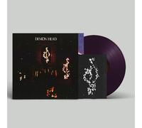 Demon Head – Through Holes Shine the Stars – Vinilo (The Orchard)
