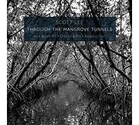 Through the Mangrove Tunnels
