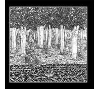 Through the Trees by Family of the Year