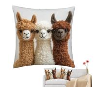 Throw Pillow Covers - Soft Alpaca 18x18 Inch, Decorative Cushion Case, Modern Textured Square Cover, Breathable Plush Fabric For Comfort, Stylish Accent Pillow Slip, Durable Hidden Zipper Closure