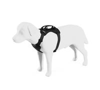 Thule Cappy S Arnés para perro
