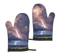 Thunder Landscape Print - Guantes de cocina unisex para barbacoa de 5.9 x 11 pulgadas, impermeables, para cocinar y hornear