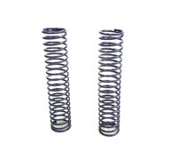 Thunder Tiger EB4 S2/2.5 & RALLY 1:8 Buggy PD0752 Feder Hinten Blau 1,6 mm T2P®