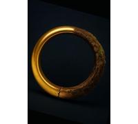 Thunderclap: Panics, Kinship, and the Hidden Architecture of the Financial World (The Humanity of Bankers)