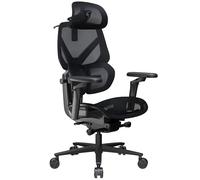 ThunderX3 Flex Pro - Silla de oficina ergonómica para adultos, silla de juegos, silla de escritorio de respaldo alto, inclinación sincrónica, inclinación hacia adelante, 19D totalmente autoajustable,