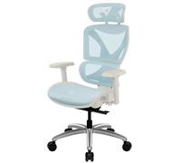 ThunderX3 XTC - Silla de oficina ergonómica, silla de juegos para adultos, silla de escritorio de respaldo alto, inclinación sincrónica, soporte lumbar y respaldo autoajustables, reposacabezas