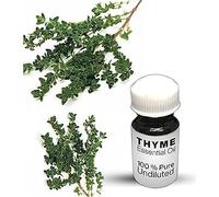 Thyme Essential Oil / 100% Pure Thyme Undiluted Essential Oil Premium Quality (50 ML, NATURAL)