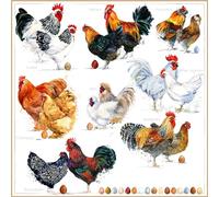 ti-flair 20 servilletas de diferentes tipos de gallinas, animales, granja, Pascua, decoración de mesa, decoupage, técnica de servilletas, 33 x 33 cm