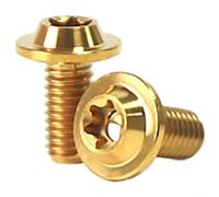 Ti - Tornillos de aleación para botella de agua M5 x 10 mm, tornillos de cabeza de armadura ultraligeros para ciclismo de carretera y montaña, cierres anodizados, paquete de 2 (dorado)