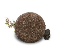Tianbi Barra de Champú para Oscurecer El Cabello Barra de Champú Sólido Champú Y Acondicionador Oscurecedor Natural Barra de Champú Hidratante Y Voluminizador para El Cabello Orgánico