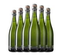 Tianna Negre Bocchoris de Sais Brut Cava 75 cl Espumoso blanco (Caja de 6 Botellas de 75 cl)