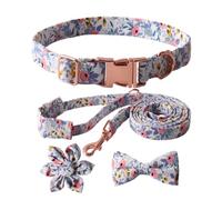 TIANQUXNGI Juego de collar de perro de moda, correa y corbata que se completa con un colorido lazo floral para mascotas que destacan entre la multitud