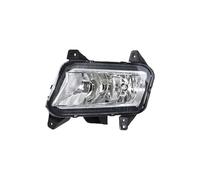 Tianwu03 Compatible con accesorios de coche ZX Terralord, parachoques delantero, luz antiniebla, faro antiniebla, luz antiniebla, luz diurna DRL con bombilla(Only Left)