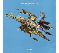 Tibbetts Steve - Big Map Idea