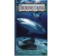 TIBURONES Y RAYAS (GUIAS DEL NATURALISTA-PECES-MOLUSCOS-BIOLOGIA MARINA)