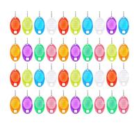 TICKLELY 40 Piezas Llavero - Llavero de Plástico con Etiqueta para Identificar Llaves, Perfecto para Organizar Llaves y Otras Pertinencias