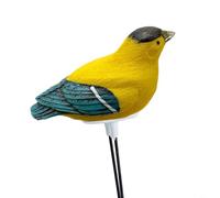 Tidgel Medidor de humedad del suelo con sensor higrómetro de alarma de riego en forma de pájaro para plantas en maceta Bonsái Medición continua Sonda de resina (amarillo)